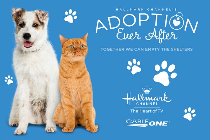 With "Adoption Ever After" we can empty pet shelters.